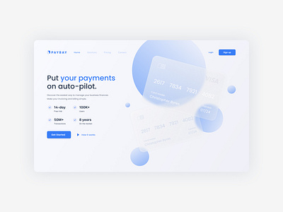 Online Payments Platform app design ui ux