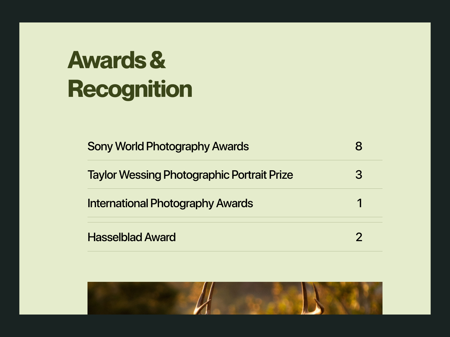 Example of Portfolio website - Awards & Recognition section