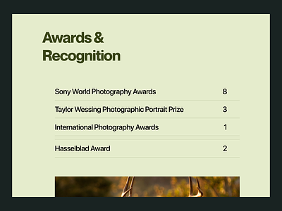 Portfolio website - Awards & Recognition section ai app design finance graphic design ui