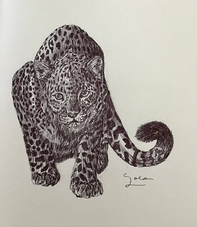 Ballpen Leopard 🐆 animal ballpen design drawing illustration leopard sketch society6 society6 frame wallart