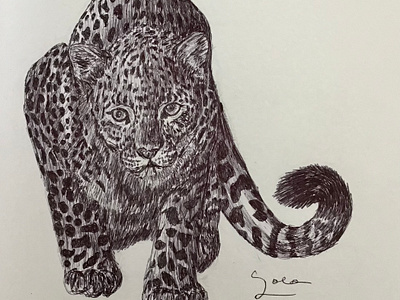 Ballpen Leopard 🐆 animal ballpen design drawing illustration leopard sketch society6 society6 frame wallart