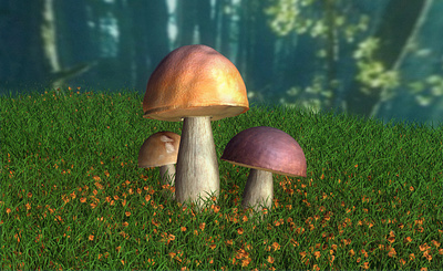 Mushrooms 3d graphic design illustration