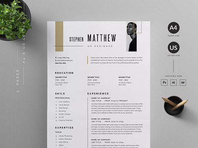 Resume/CV vector