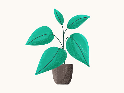 Potted Plant in Green colorful design digital illustration drawing illustration plants potted plant