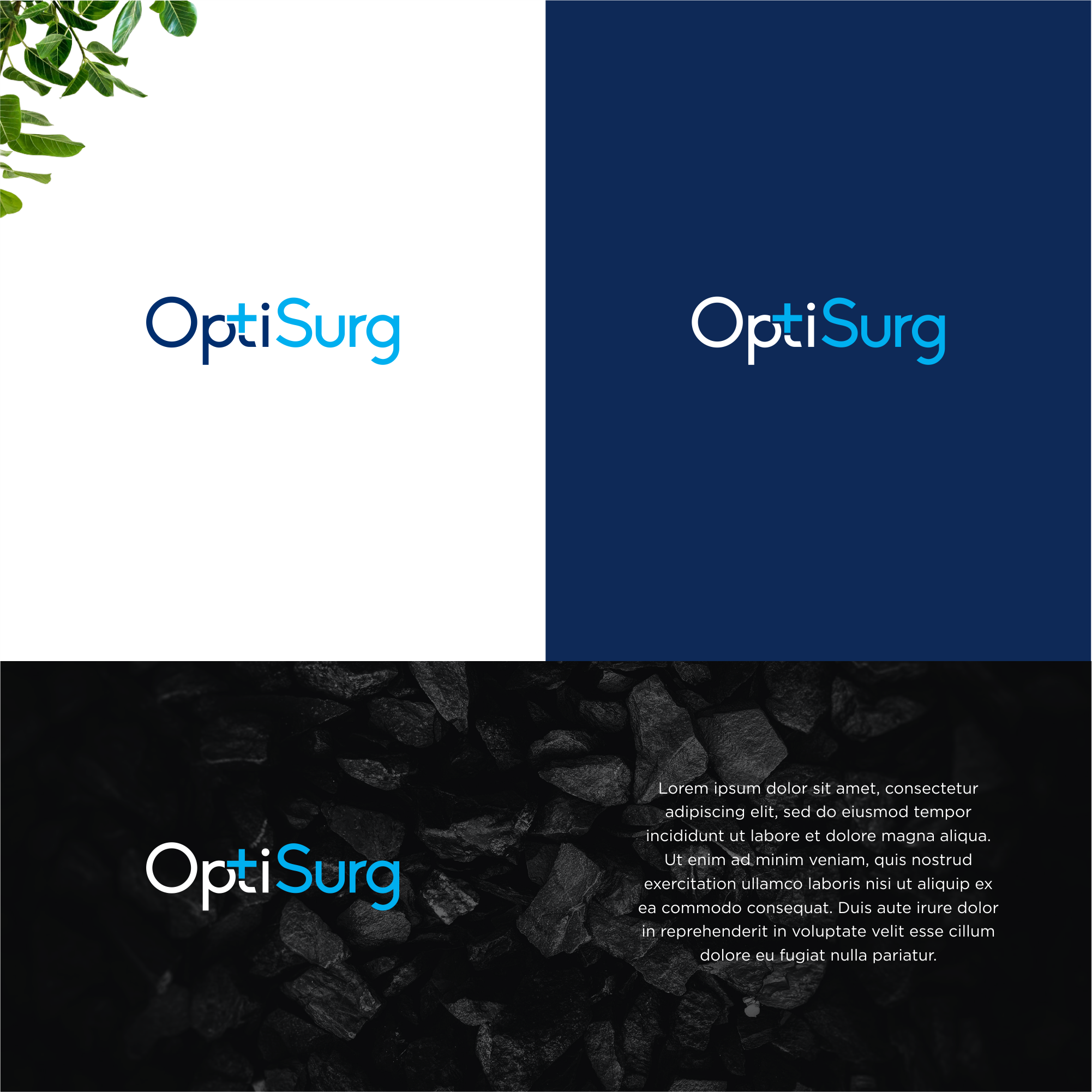 Example of Brand Identity & Smart UI/UX Design"