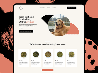 Clean Bowl Club — Website design design dog food graphic design minimal pet ui ux web design website