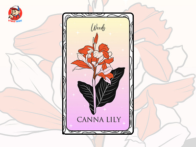 In the world of Tarot comes Tarot Botany - Canna Lily cannalily vectorstyle