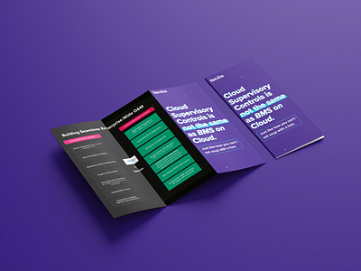 Tri-fold brochure design branding graphic design typography