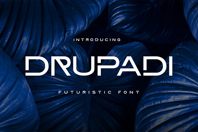 Drupadi app branding design graphic design illustration logo typography ui ux vector