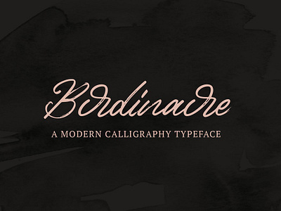 Birdinaire | Modern Calligraphy app branding design graphic design illustration logo typography ui ux vector