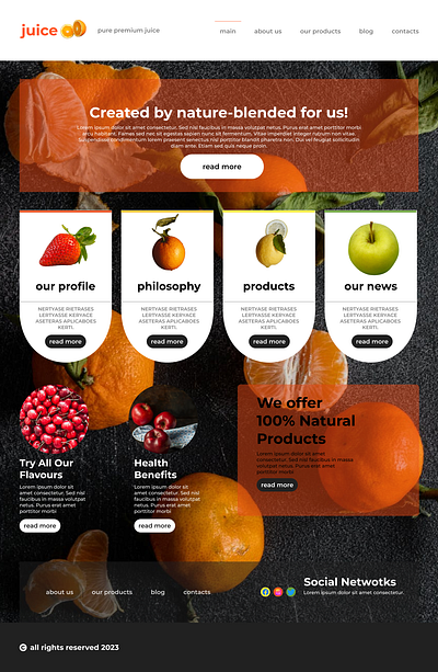 The Fruity Juice Landing Page branding ui