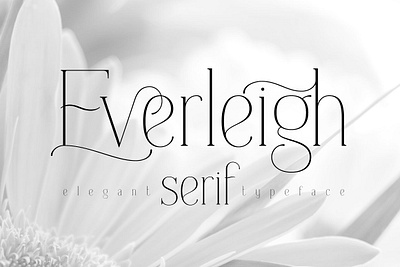 Everleigh Serif font app branding design graphic design illustration logo typography ui ux vector