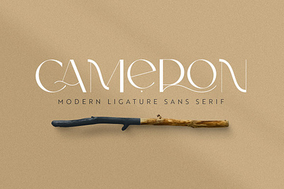 Cameron | Modern Sans Serif Font app branding design graphic design illustration logo typography ui ux vector