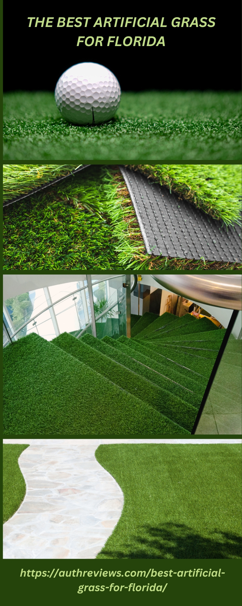 The Best Artificial Grass for Florida by Freya Nick on Dribbble