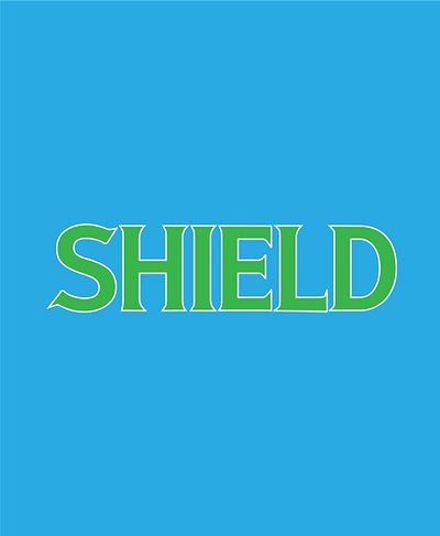 SHIELD LOGO DESIGN branding business logo custom logo custom logo design graphic design illustration logo logo designer logo designing logodesign minimalist logo design shield vector