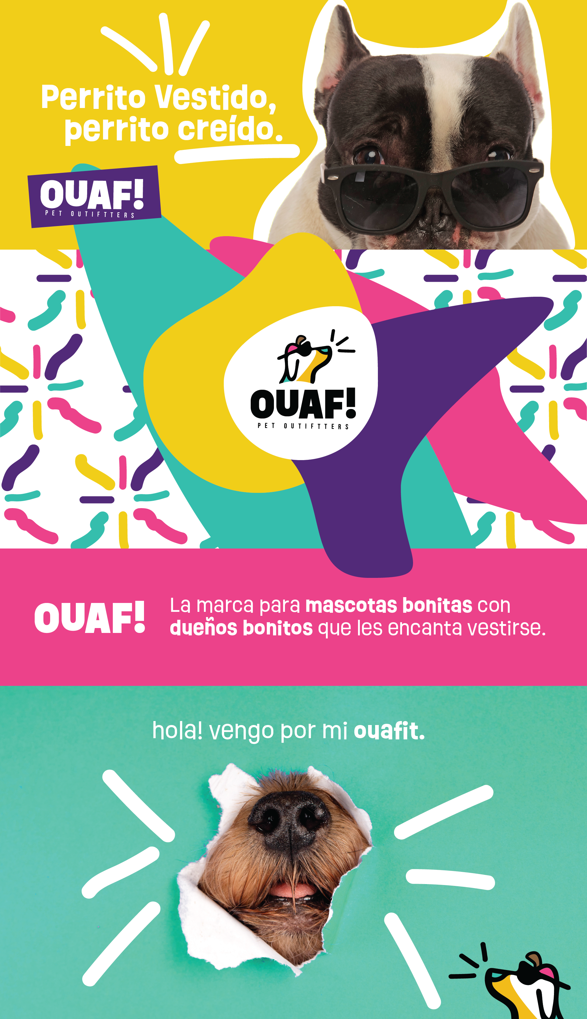 OUAF! Pet Outfitters Branding branding dogfashion graphic design illustration logo petclothing pets typography