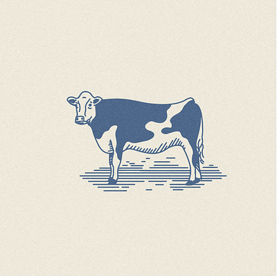 Cow cow design farm farm animal illustration lineart