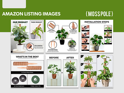 Moss Pole | Amazon Listing Images amazon infographics amazon listing design amazon listing images graphic design infographics