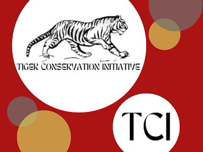 TCI Case Study (video) app branding design graphic design logo typography ui ux