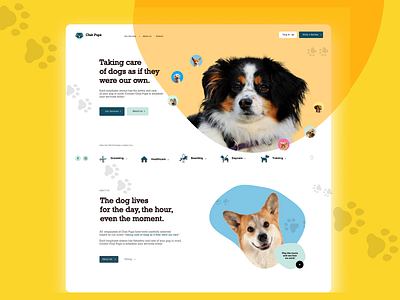 Landing page | Pet's shop app branding design graphic design illustration logo typography ui ux vector