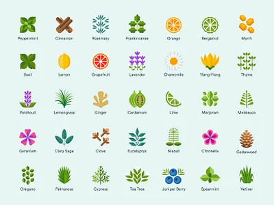 Essential Oils Flat Illustration essential food icon illustration leaf logo mark oils plants symbol