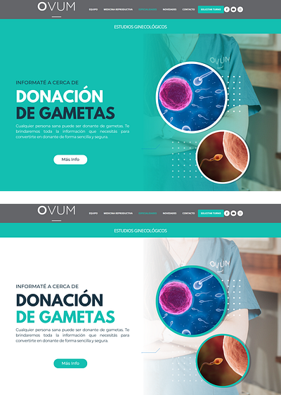 Web Design & Development: Health sites branding design design system graphic design ui ux