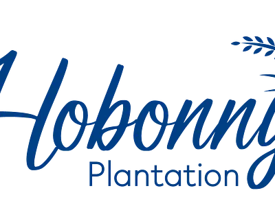 Plantation Logo branding graphic design logo plantation soft logo