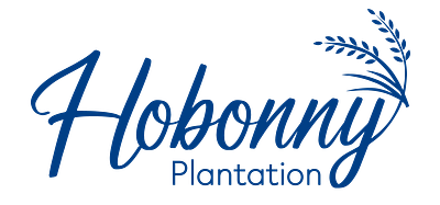 Plantation Logo branding graphic design logo plantation soft logo