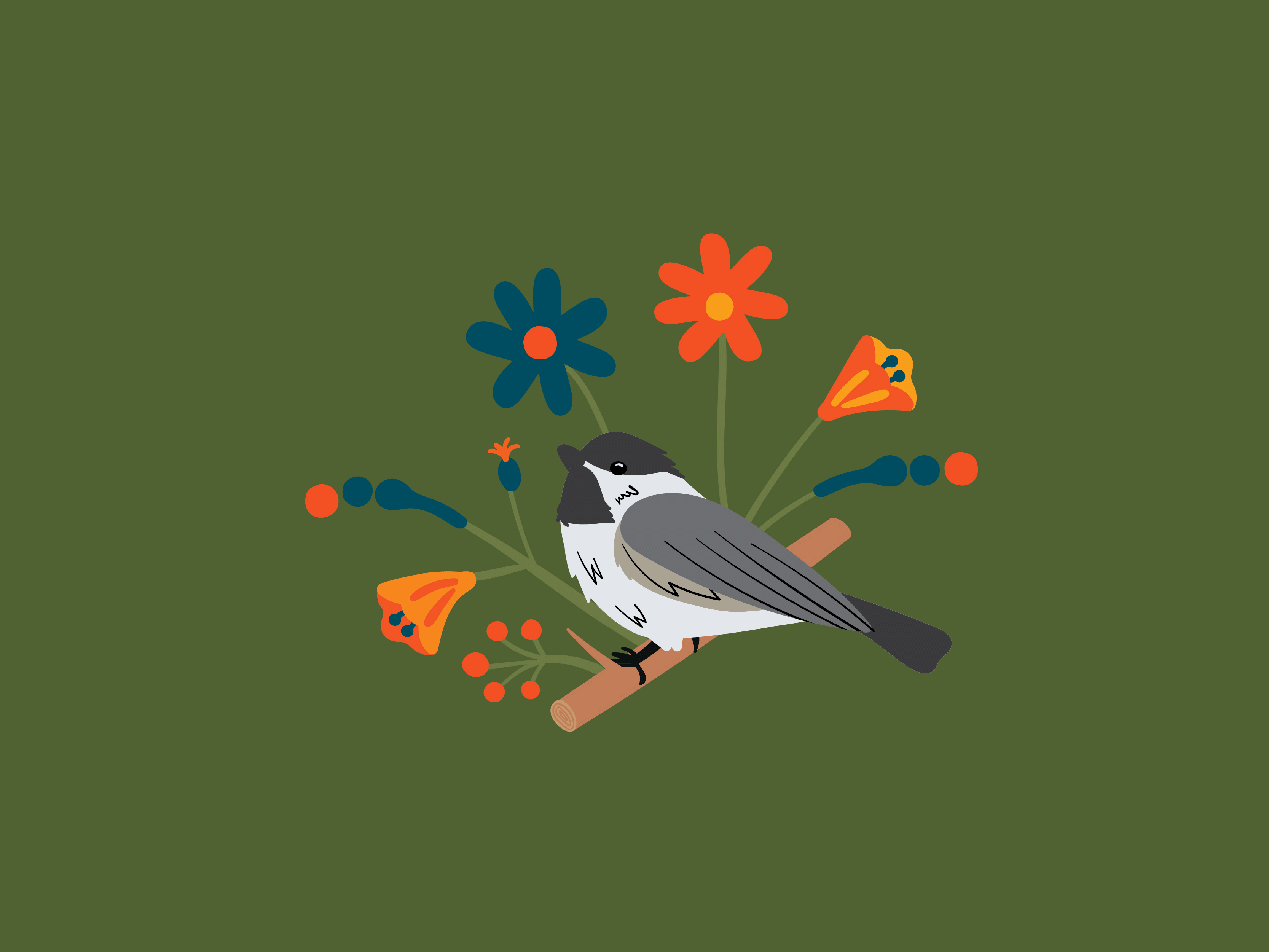 Chickadee bird chickadee design flowers graphic design illustration motion vector