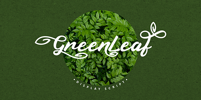 Free Display Script - Green Leaf Font stylish font