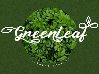 Free Display Script - Green Leaf Font stylish font