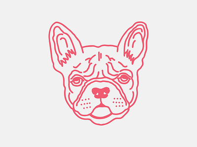 Most Wanted Streetwear - Bulldog Face Logo apparel branding bulldog clothing clothing brand design dog english french graphic design illustration line logo most pup streetwear tattoo vector wanted work