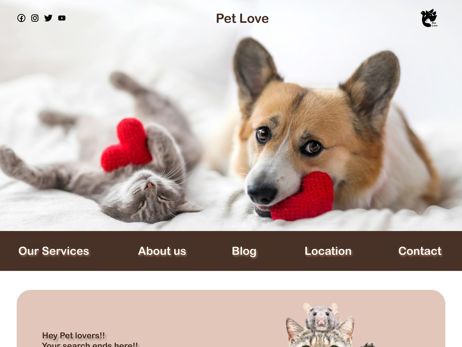 Pet app UI by Ankita Bara on Dribbble