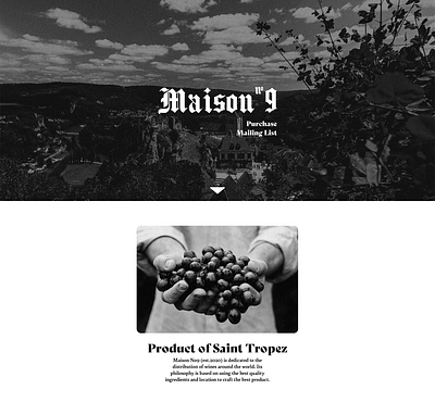 Maison No.9 Website black and white imagery mockup ui web design