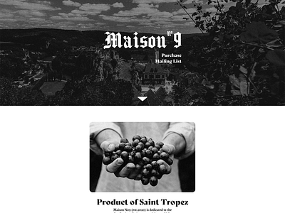 Maison No.9 Website black and white imagery mockup ui web design