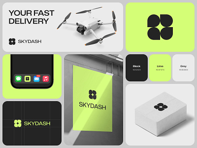 Skydash Brand Identity brand identity branding colors concept delivery design drone logo