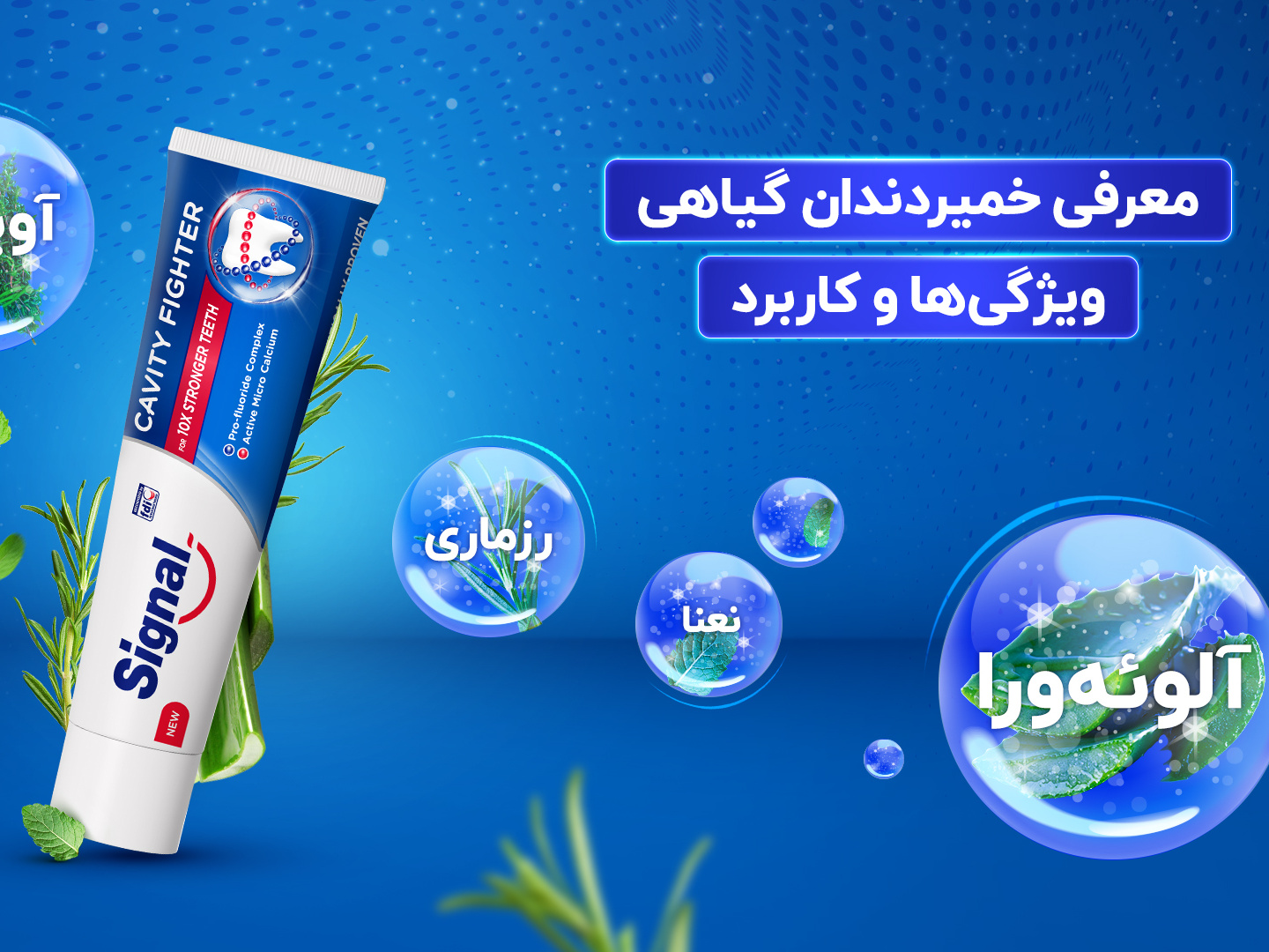 Toothpaste Banner by Ali on Dribbble