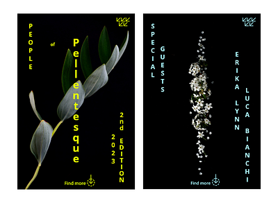 Posters for Pellentesque colors contrast design digital fluid futuristic modern nature poster shapes wording