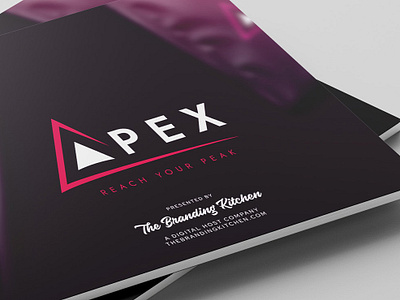 Apex - Reach Your Peak | Visual Brand Identity billboard book branding brochure design graphic design illustration logo packaging vector