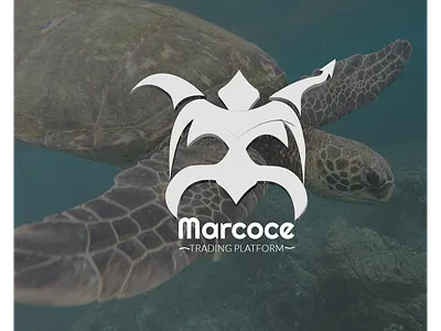 marcoce trading platform- logo design branding design graphic design illustration logo package design post design social media ui vector