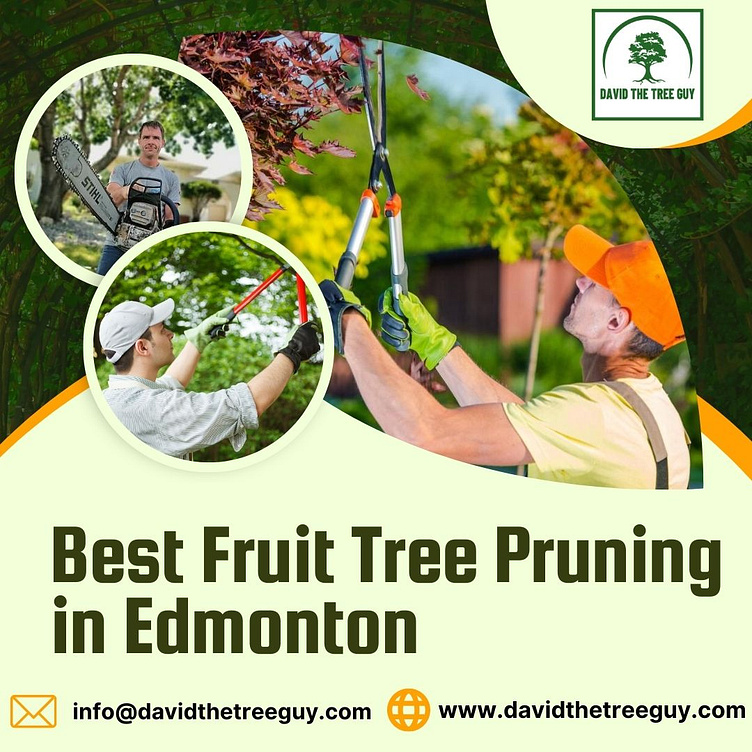 Best Fruit Tree Pruning in Edmonton by David The Tree Guy on Dribbble