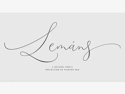 Lemans Fonts fall