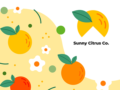 Sunny Citrus Co. - Branding Exploration app design brand branding daily ui design graphic design illustration logo mockup vector