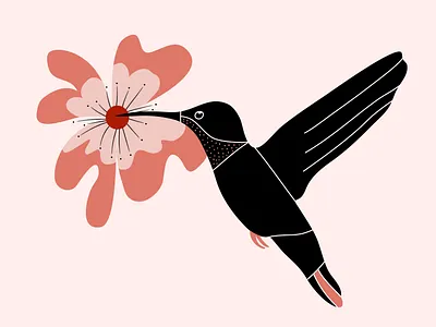 Nordic Nature (Birds) by Julia Barry bird black cardinal duck ecru flying folk art hand drawn hummingbird illustration julia barry limited palette minimalist nordic owl peach penguin pink procreate wings