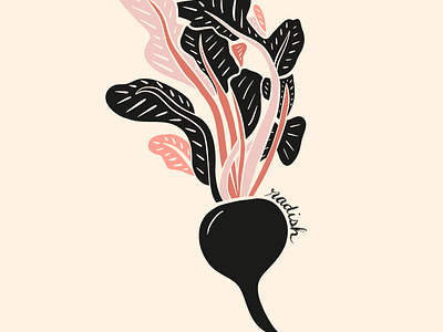 Plants & Flowers from Nordic Nature collection by Julia Barry black botanic cooking ecru flora hand drawn illustration julia barry kitchen leaves limited palette minimalist modern peach pink plant procreate radish vegetable