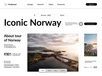 Healtravel - Travel UI Platform branding design graphic design illustration typography ui ux vector web design