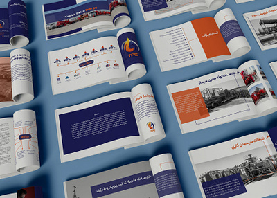 Catalogue design graphic graphic design illustration