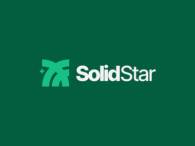 SolidStar brand branding design graphic design logo logotype vector