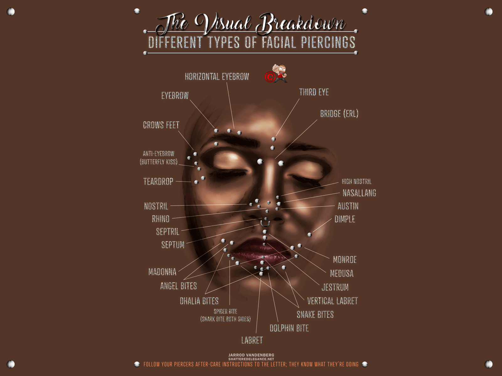 Facial Piercing Chart animation design dribbble playoff facial piercings glitter graphic design illustration infographic jarrod vandenberg modern painting pierced piercing piercing chart piercings shattered elegance sticker sticker mule types of piercings visual breakdown