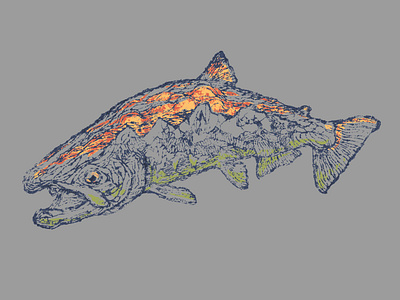 Salmon Mountains fishing graphic design illustration mountains outdoor salmon tee tee shirt trout